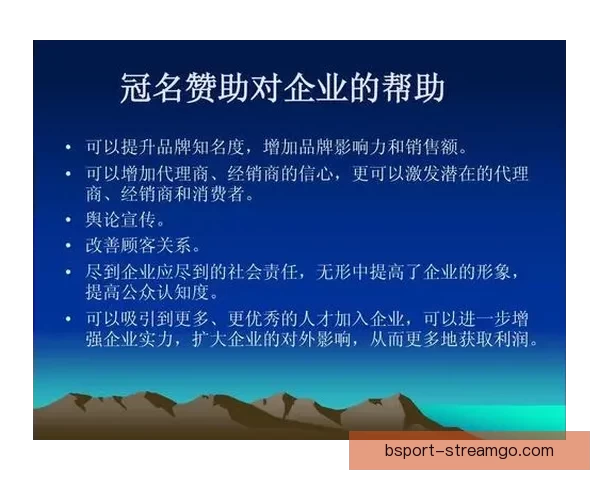 B体育代理全方位解析与市场推广策略深度指南